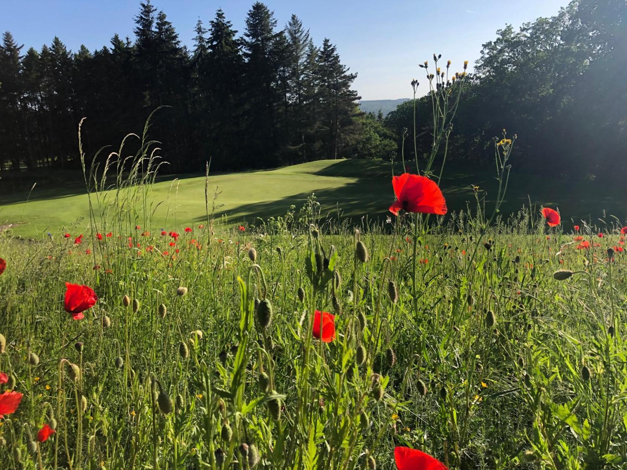 Gaestehaus Koehler Waldsolms Екстер'єр фото